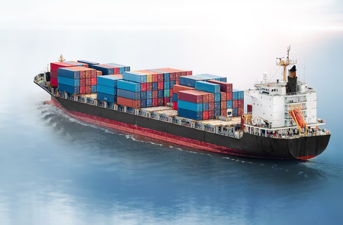 Canal-de-distribucio%25CC%2581n_edited_e